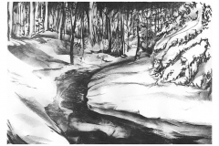 wolftrapCreek